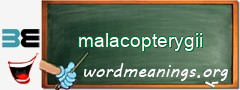 WordMeaning blackboard for malacopterygii